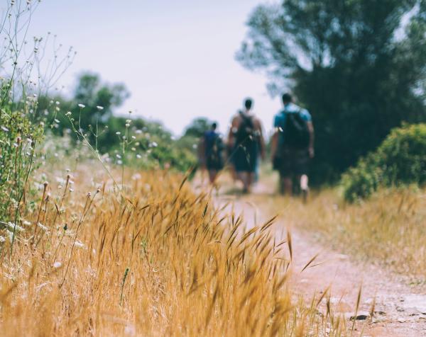 Hikes